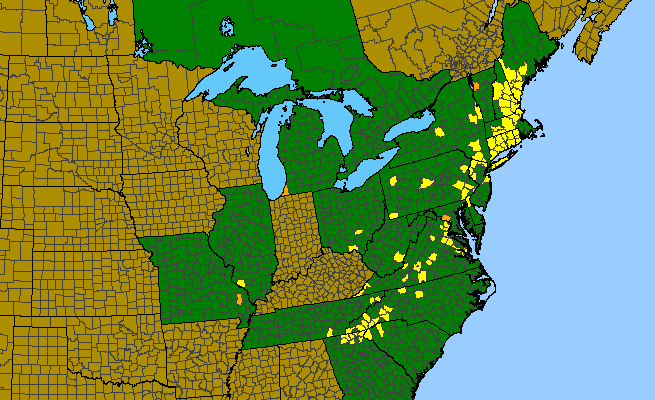 The range of Isotria medeoloides